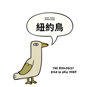 紐約鳥｜New York Aperture 節目封面